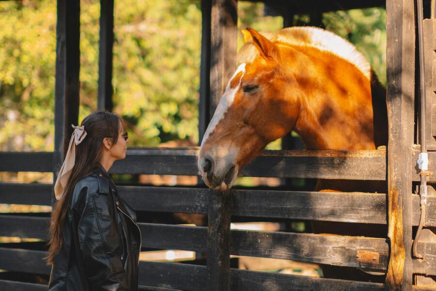 Hästens skydd mot lera under hösten